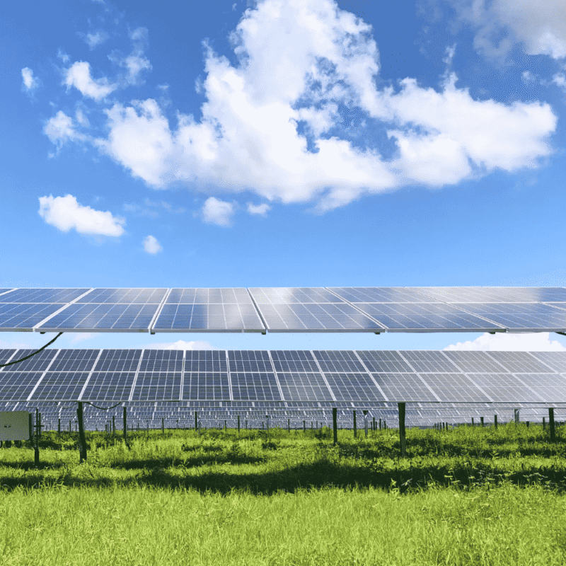 Cuántos paneles solares necesito para mi hogar o negocio