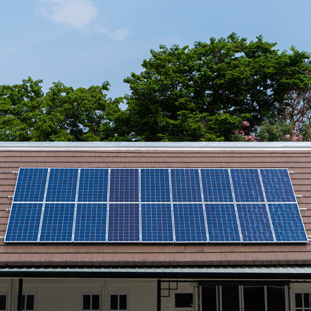 Paneles solares para casa precio